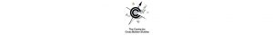 Towards a New Common Chapter @ Northern Ireland Council for Voluntary Action | Northern Ireland | United Kingdom